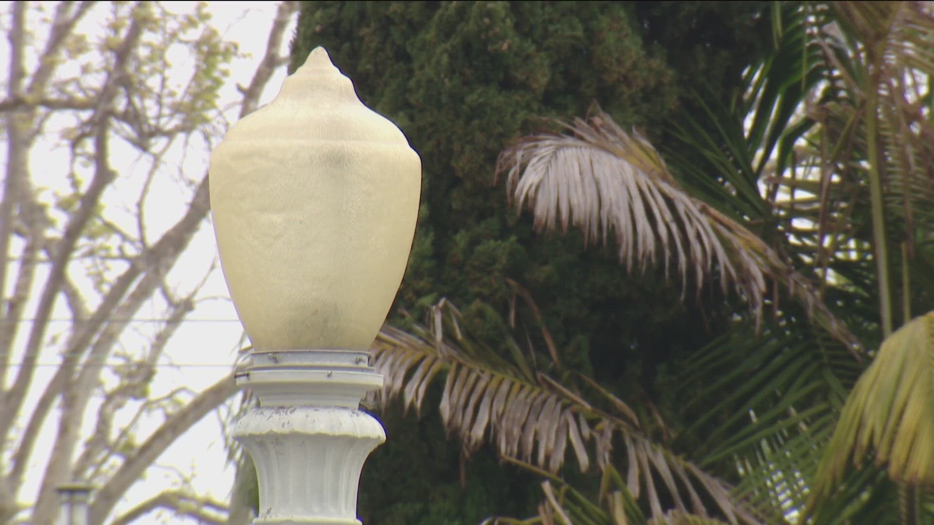 More Trees And Street Lamps 