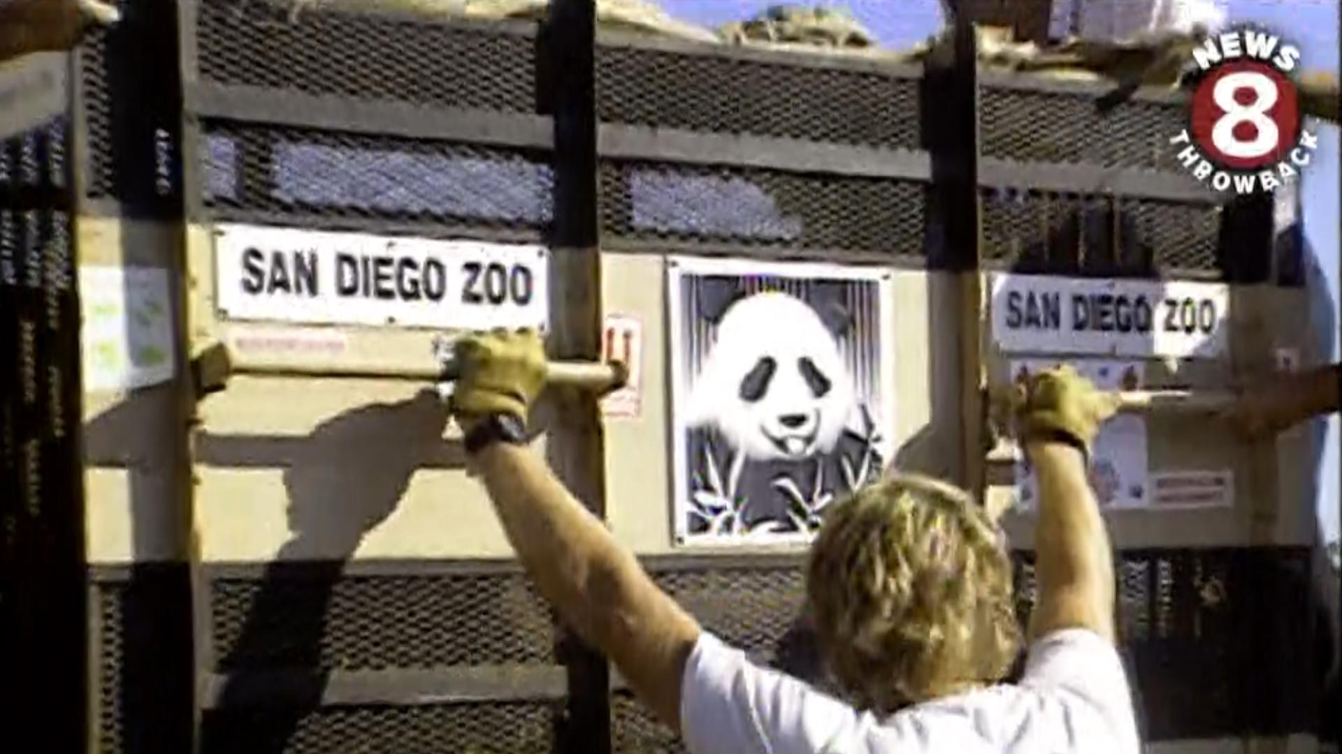 In September 1996,  two giant pandas, Bai Yun and Shi Shi, arrived from China to begin what was planned to be a 12-year stay at the San Diego Zoo.
