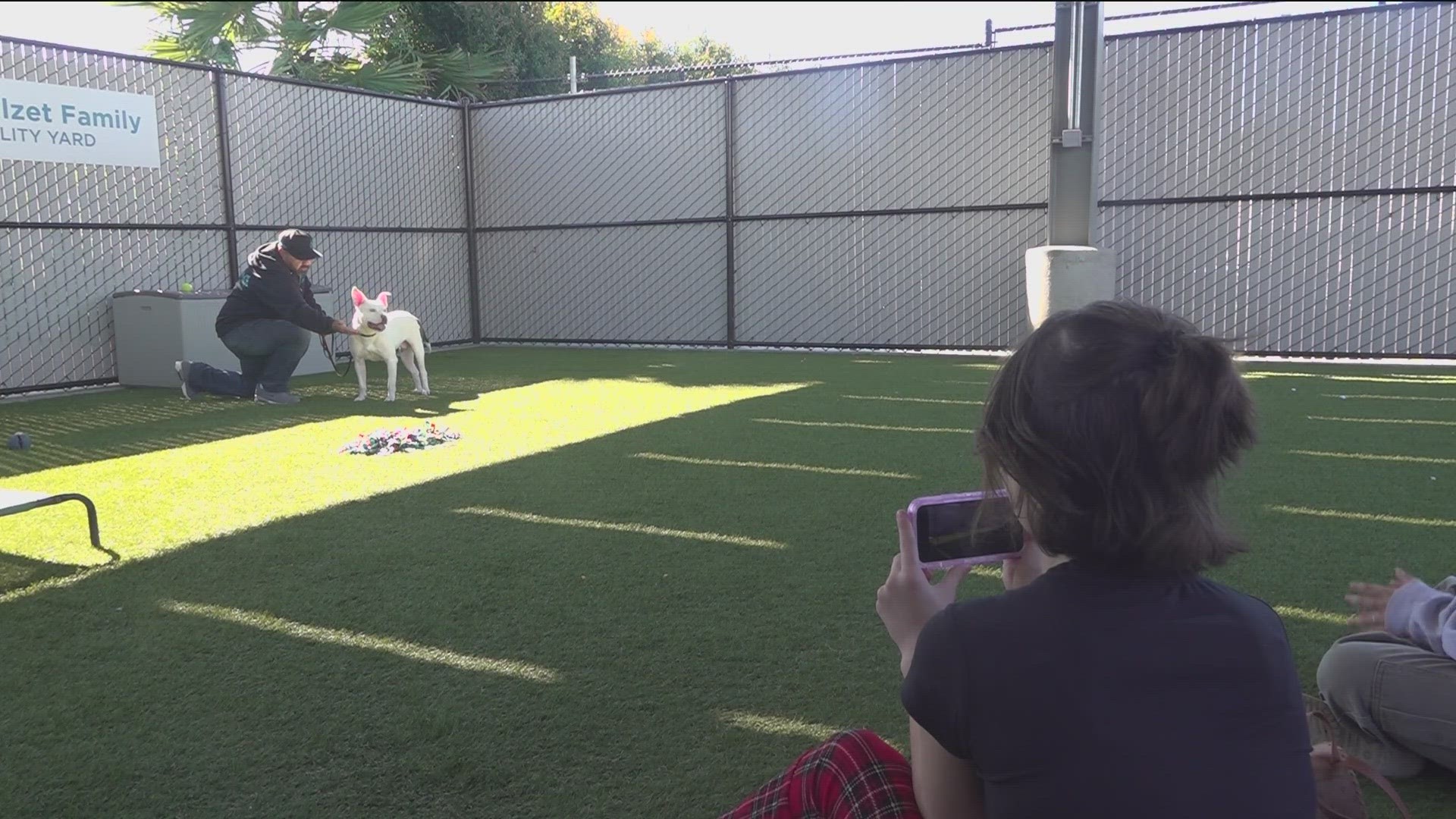 The San Diego Humane Society received a special visit at their San Diego campus Friday. Local students stopped by to help the animals find a home.