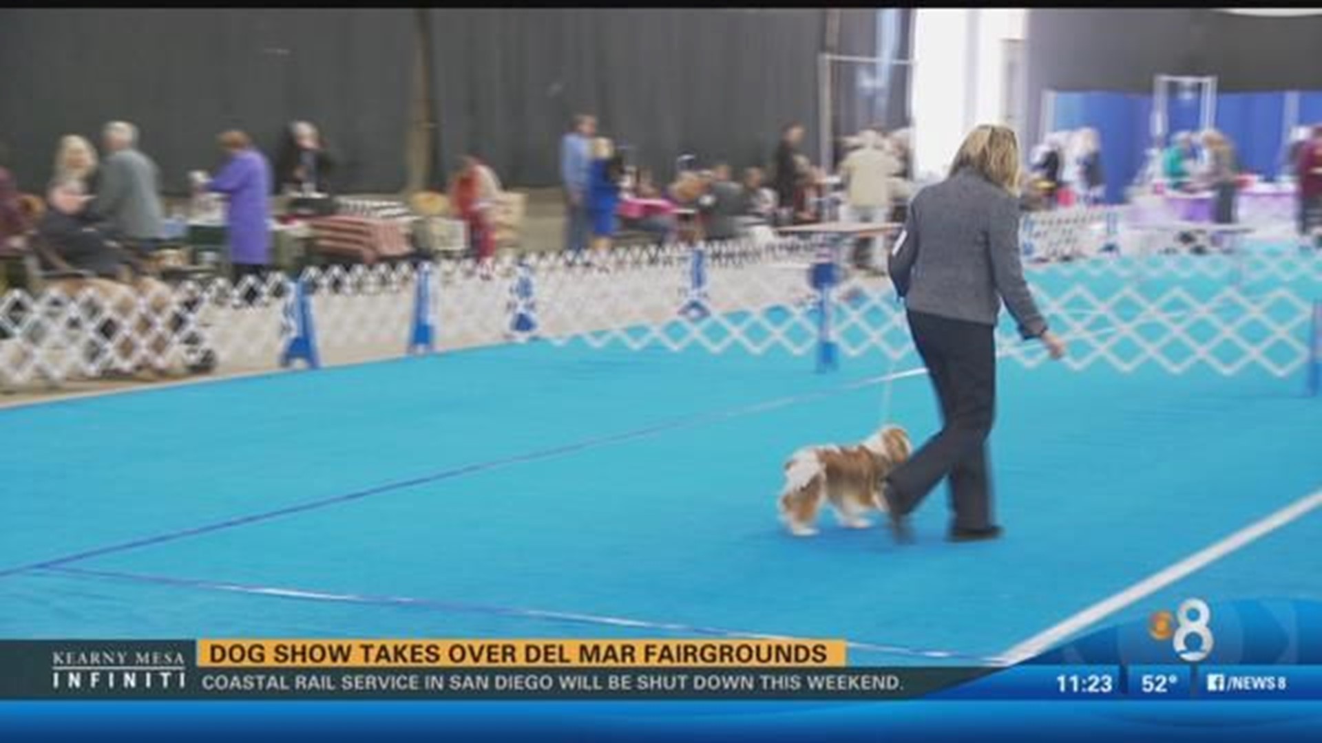 Dog show takes over Del Mar Fairgrounds