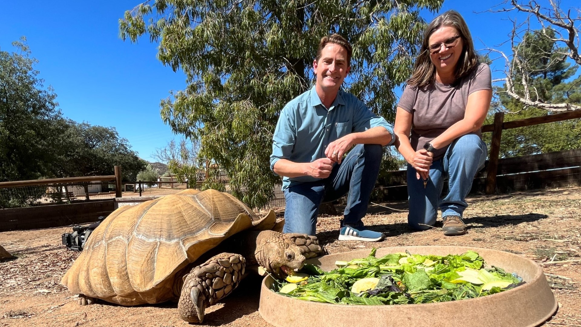 San Diego Animal Sanctuary and Farm is taking on inflation by growing their own food.