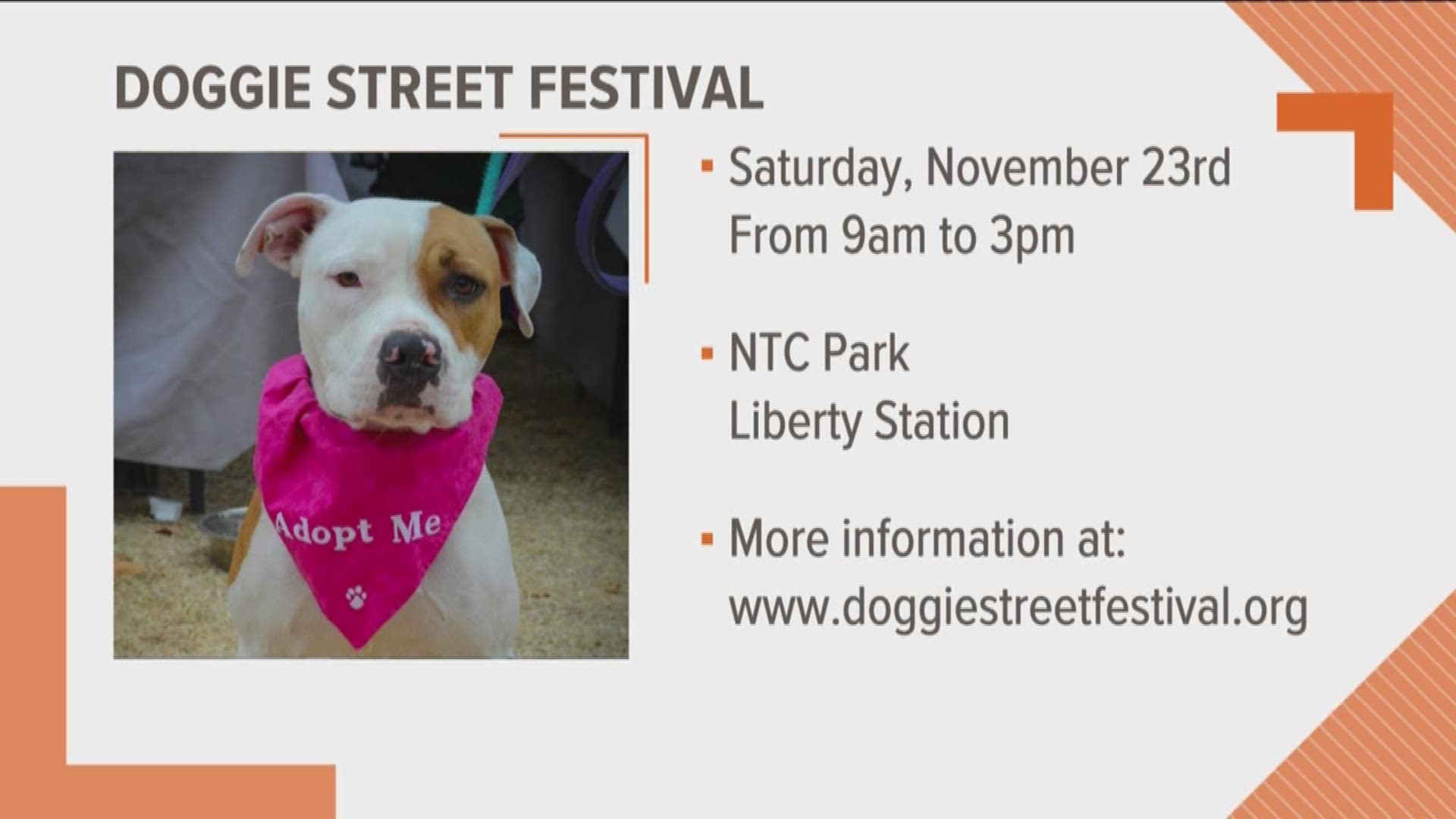 Friendly dogs, music, yummy eats, vet tips, and more happening this Saturday at the Liberty Station San Diego