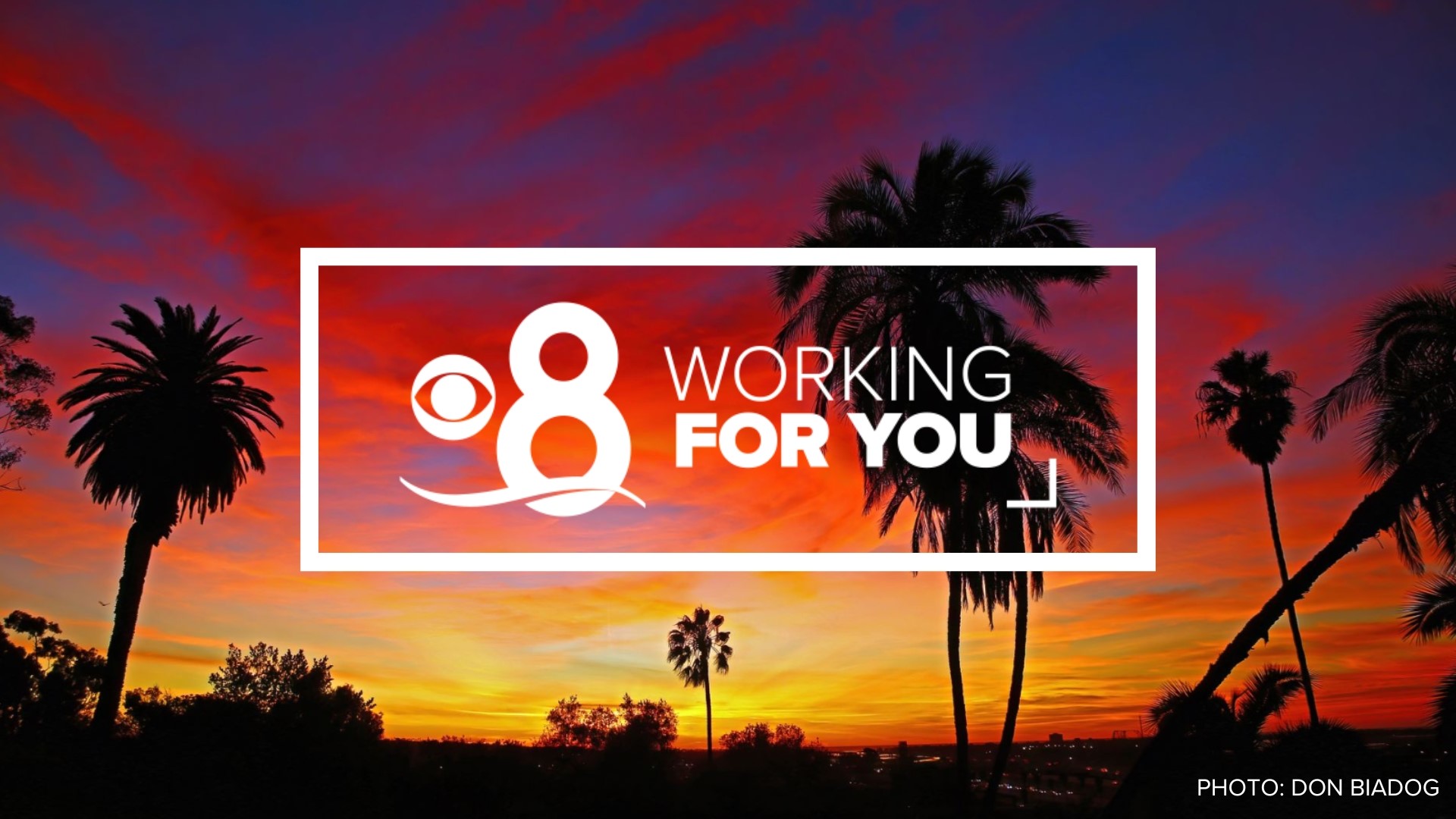At CBS 8, we are always Working for You and our community and we will go the extra mile to try and solve a problem our audience can’t solve themselves.