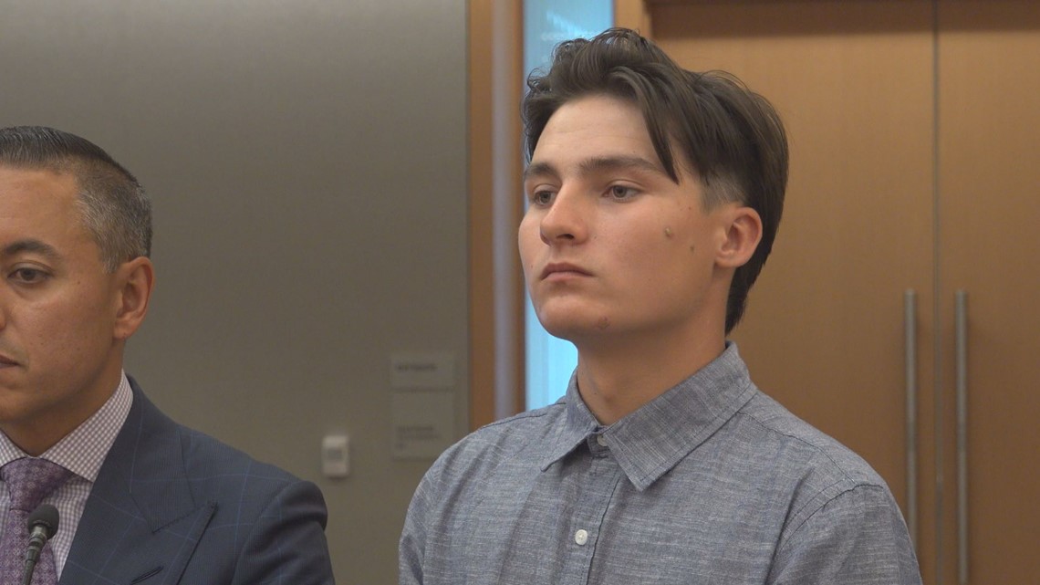 Driver pleads guilty in pellet gun death of homeless person