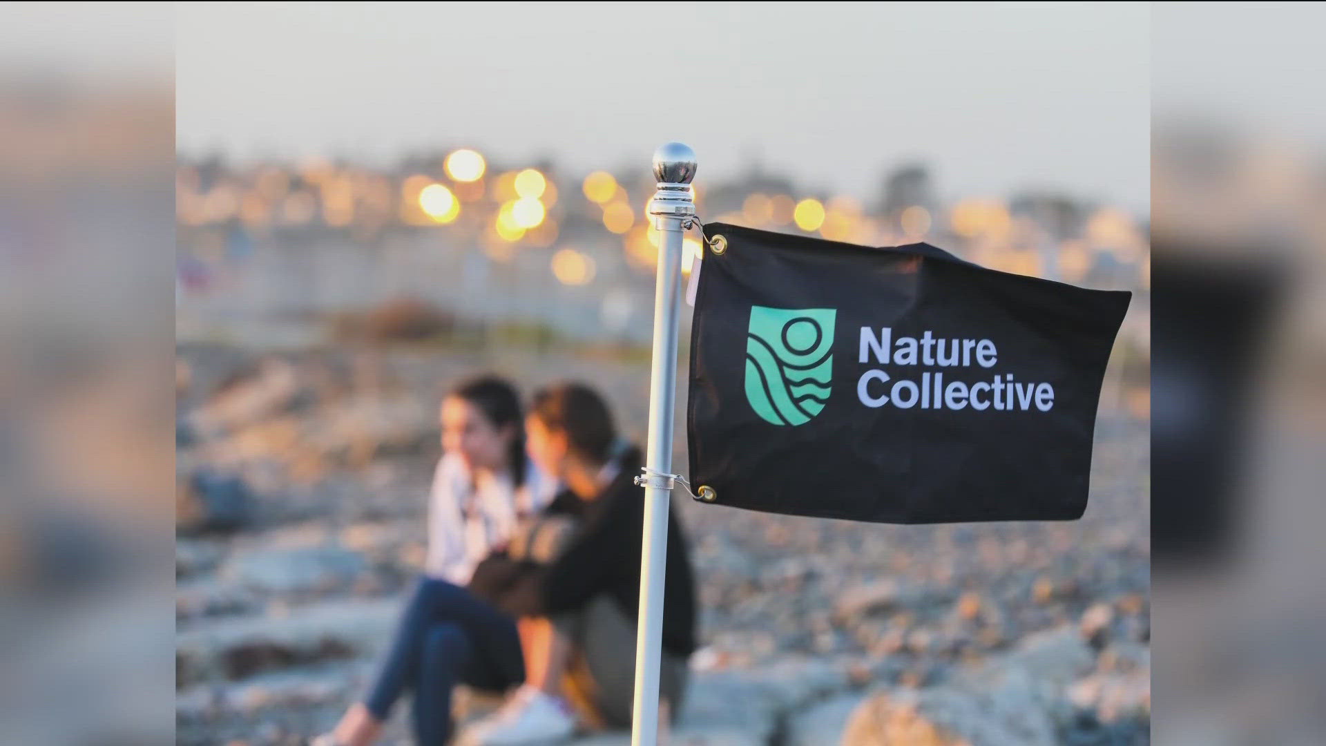 Nature Collective was founded in 1987 with a focus on conservation and science education. The goal is for future generations to appreciate and protect nature.