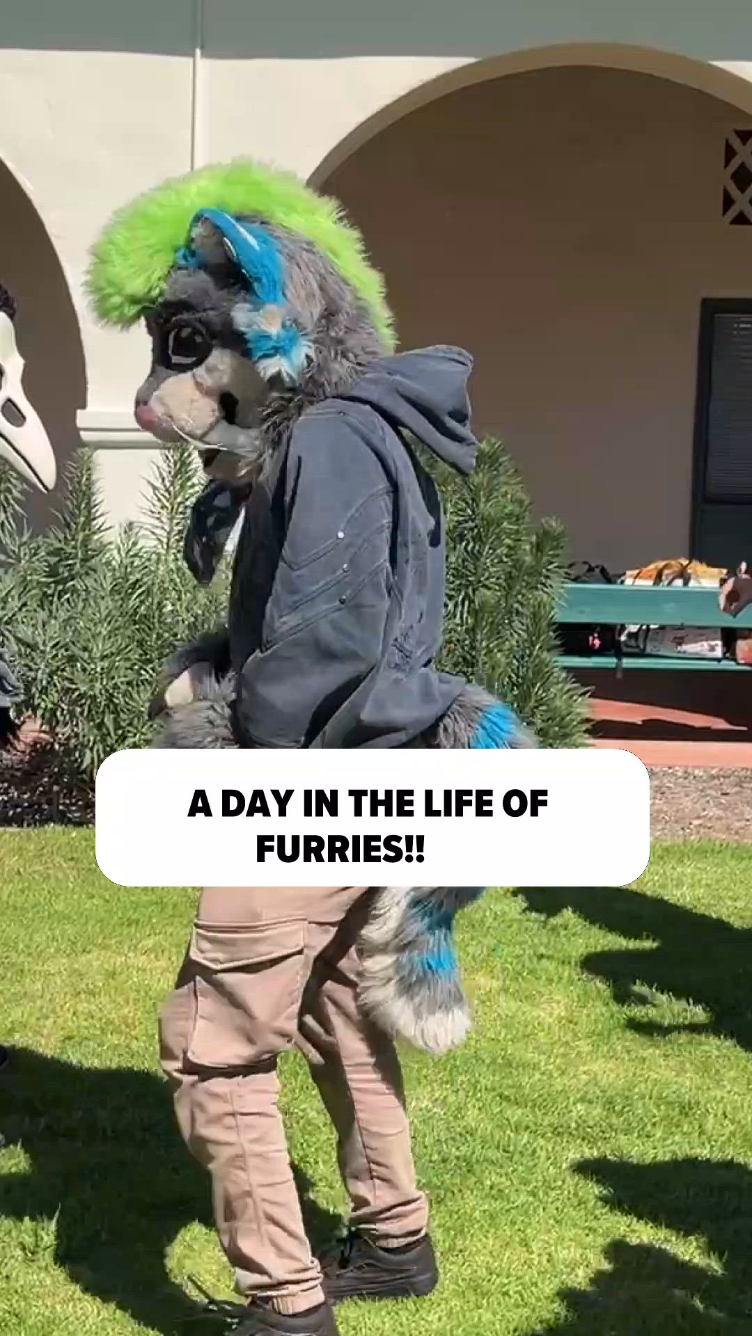 FURRIES: The Aztec Paws | cbs8.com