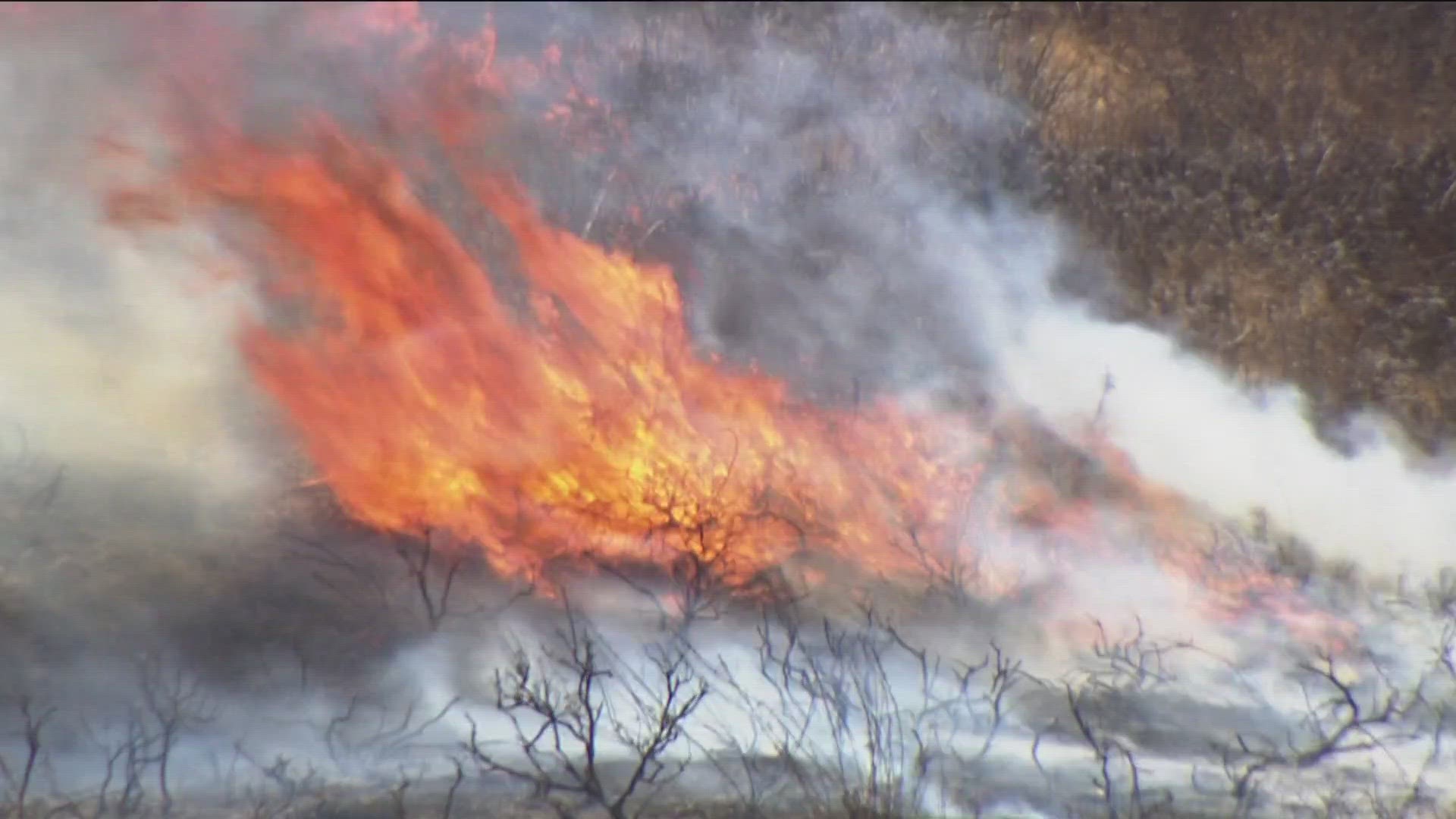 With the major rains we experienced this winter, concerns are heightened that new brush growth will pose a heightened risk in the upcoming fire season.