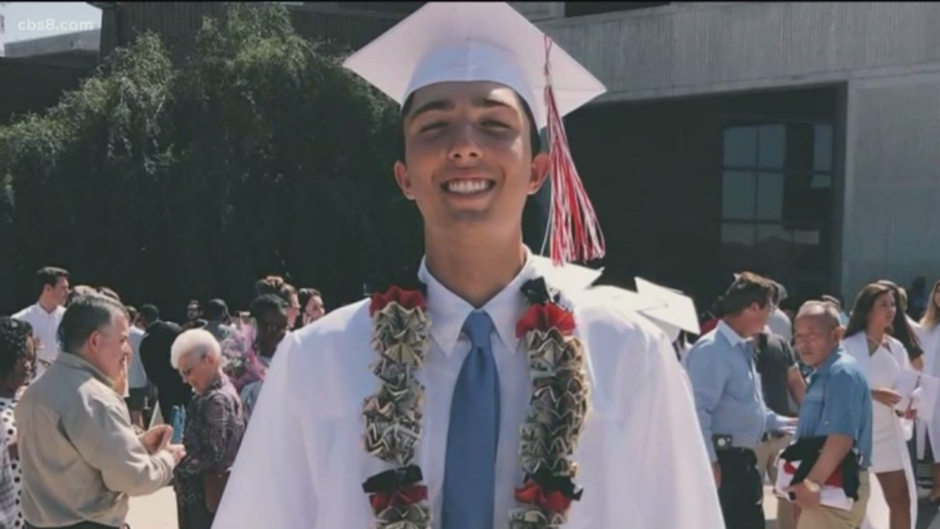 A San Diego Medical Examiner's spokesperson said "alcohol and cannabinoids were not a contributing factor" to Dylan Hernandez's death.