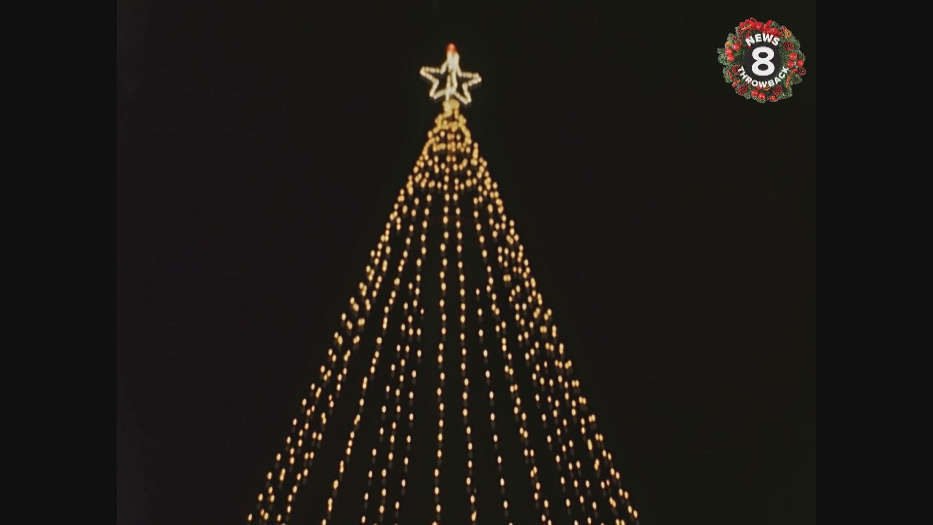 Since 1969 a sure sign the holidays are upon is the tree of lights at Sea World.  In 1973 many lights were dimmed because of the energy crisis--but not the Skytower.