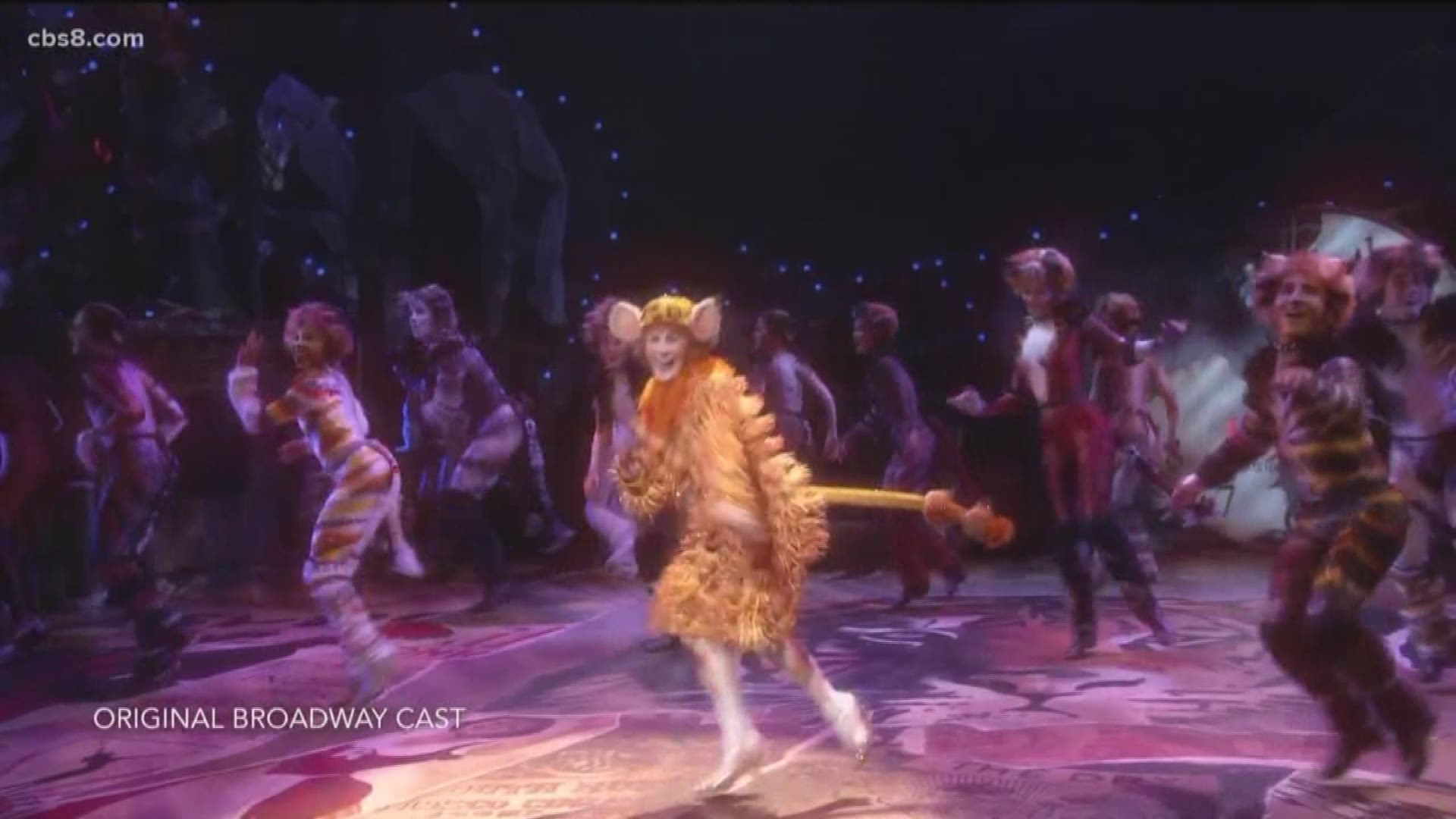 CATS - Broadway San Diego