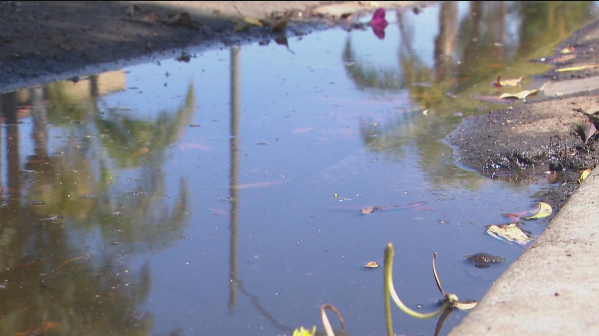 CBS 8 looks into water puddling up in North Park