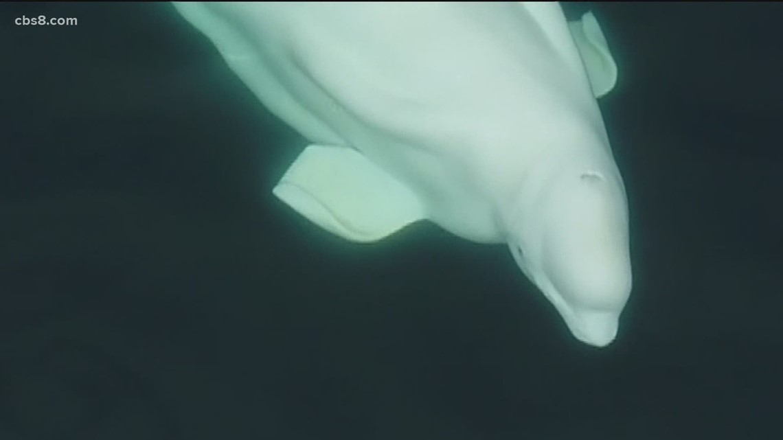 f23b28e2-e67c-4693-9101-