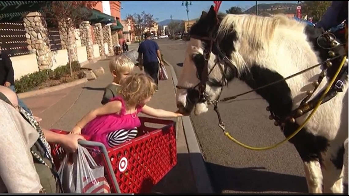 Horses 'Ace' and 'Maestro' with volunteer mounted patrol make appearance in Santee - Vimarsana News