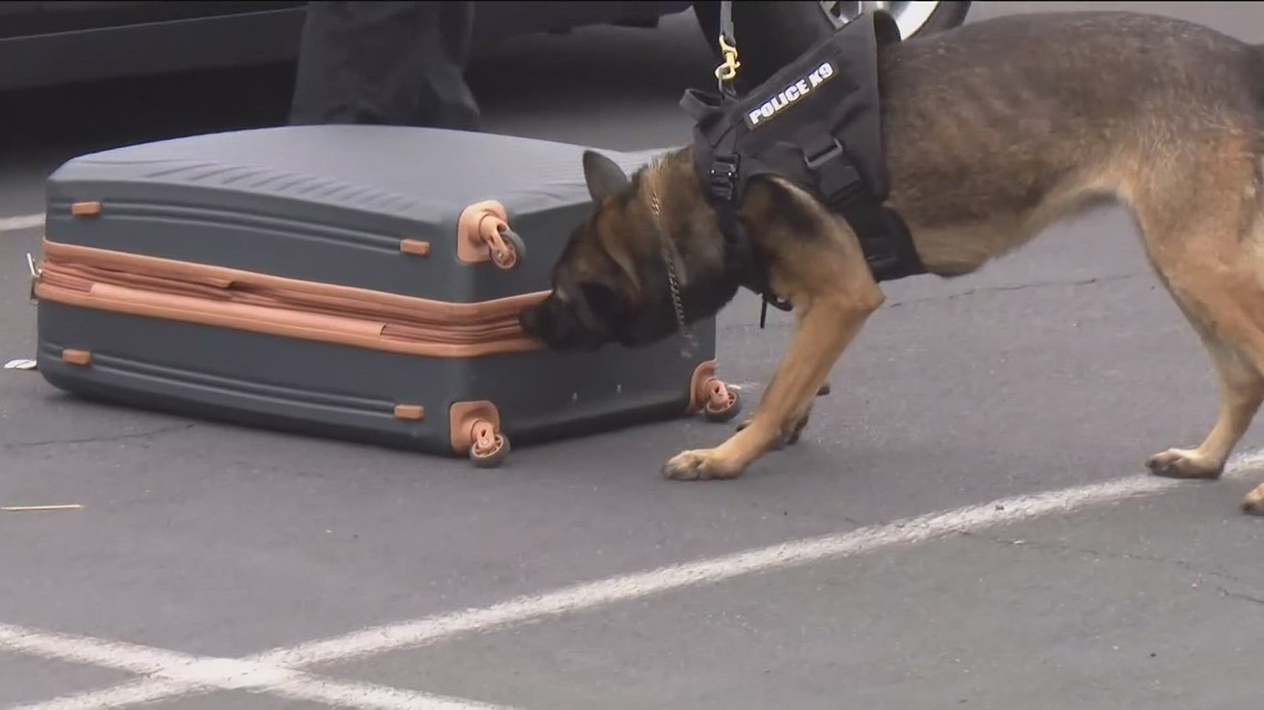 San Diego police against proposed AB 742; would restrict the use of K-9s