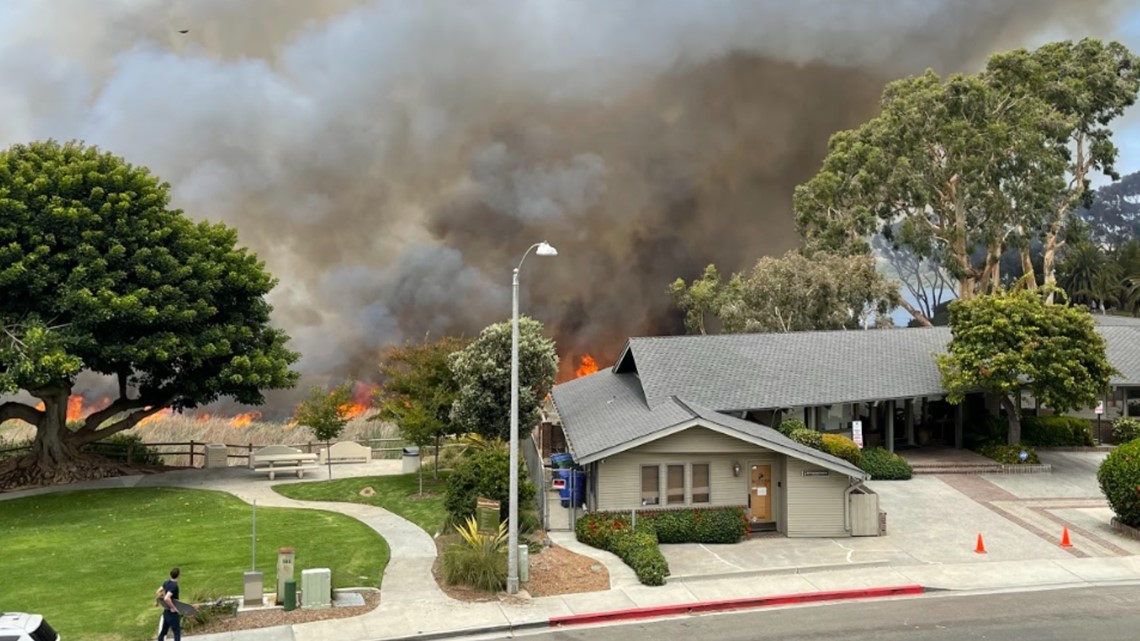 Brush fire in Carlsbad near Buena Vista Lagoon has been contained - Vimarsana News