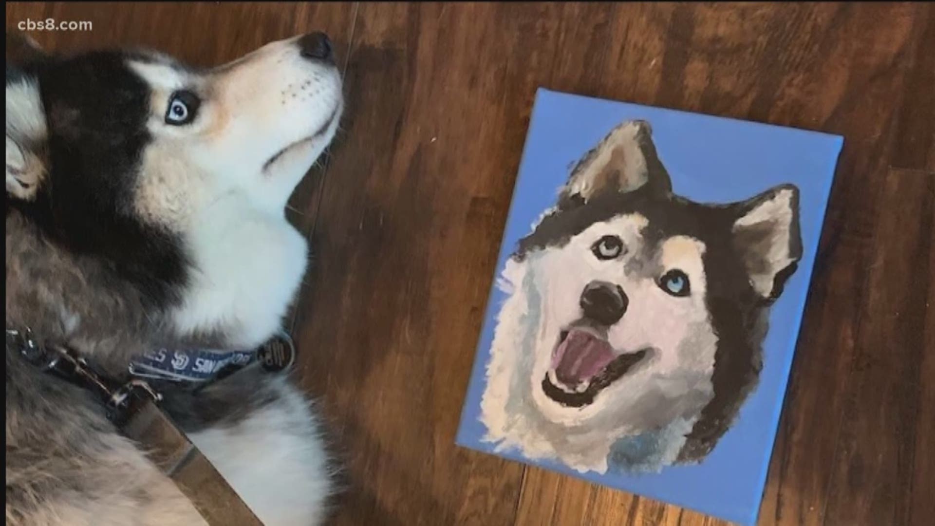 Some San Diegans are making unique keepsake for their four legged friends all thanks to a pet painting class by Pawcasso that helps pet owners create a special portrait of their favorite animal. News 8's photojournalist Colleen Murphy went to check out what it was all about.
