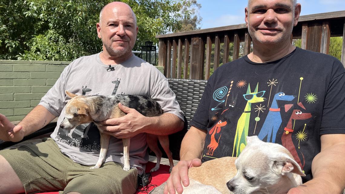 CrashCart Pet Haven and Addiction Recovery Support