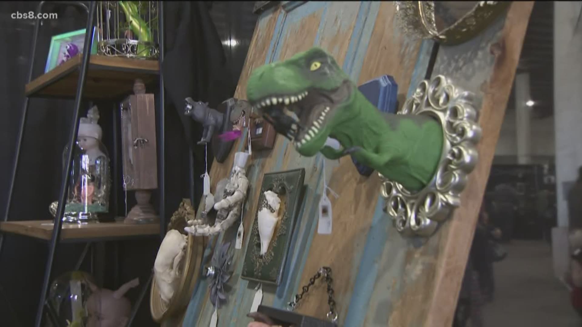 Oddities and Curiosities Expo wows visitors in Del Mar