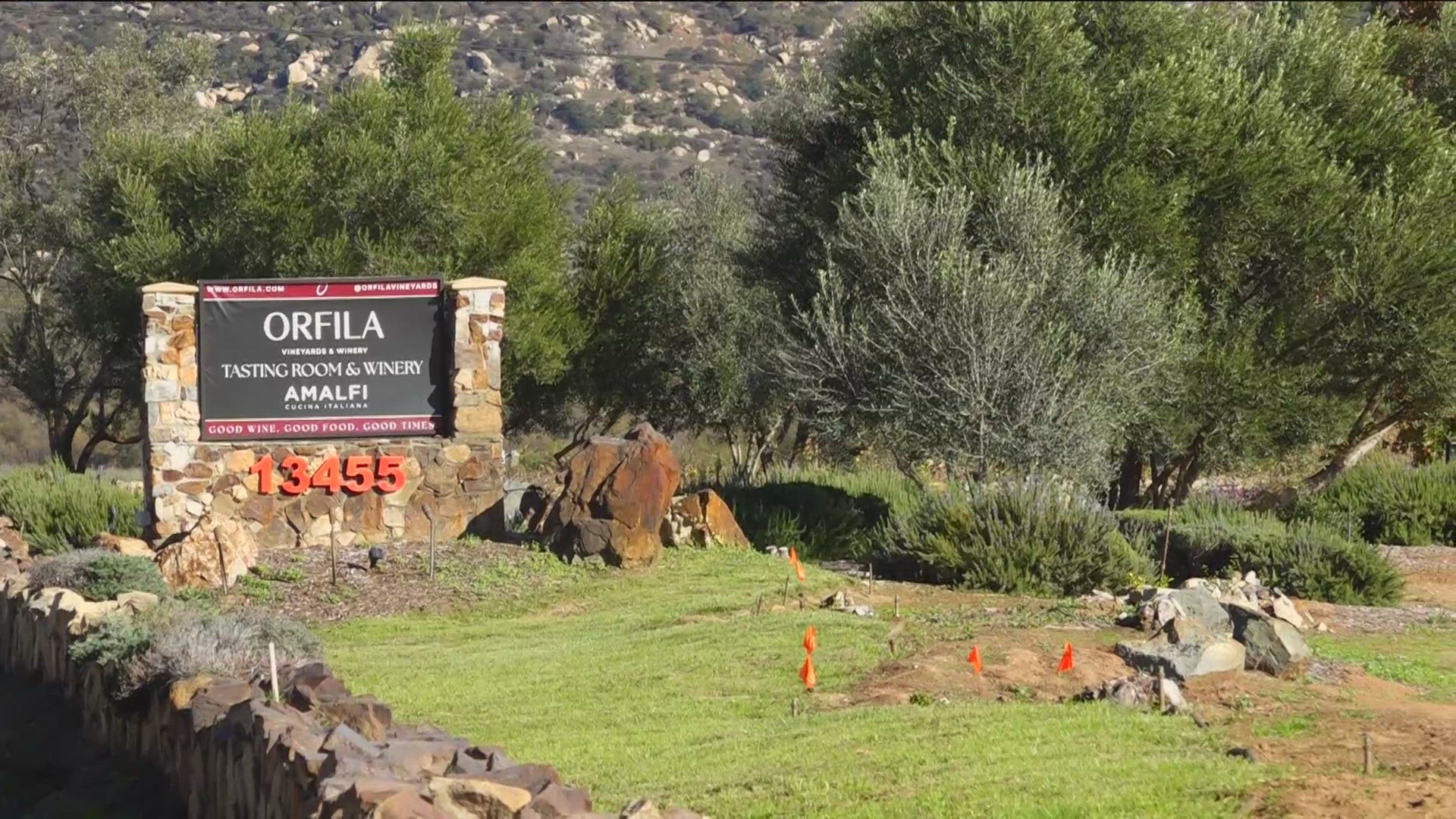Orfila Winery faces backlash after giraffe event; PETA files USDA ...