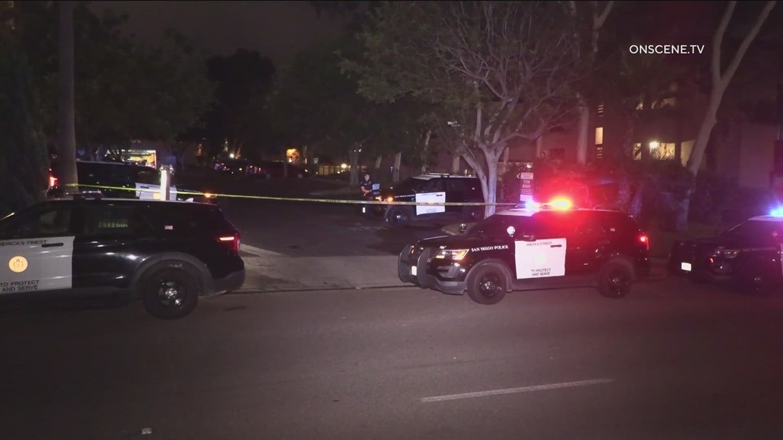 Police wound car burglary suspect, searching for the second suspect ...