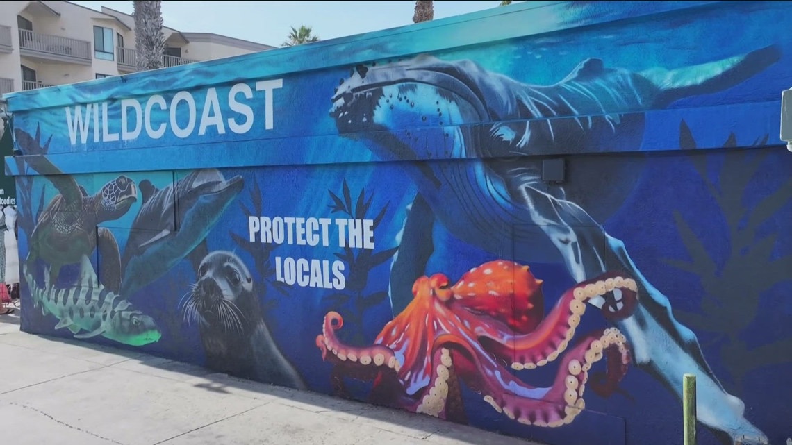New Pacific Beach mural celebrates 25 years of ocean conservation, San Diego’s 'true locals'