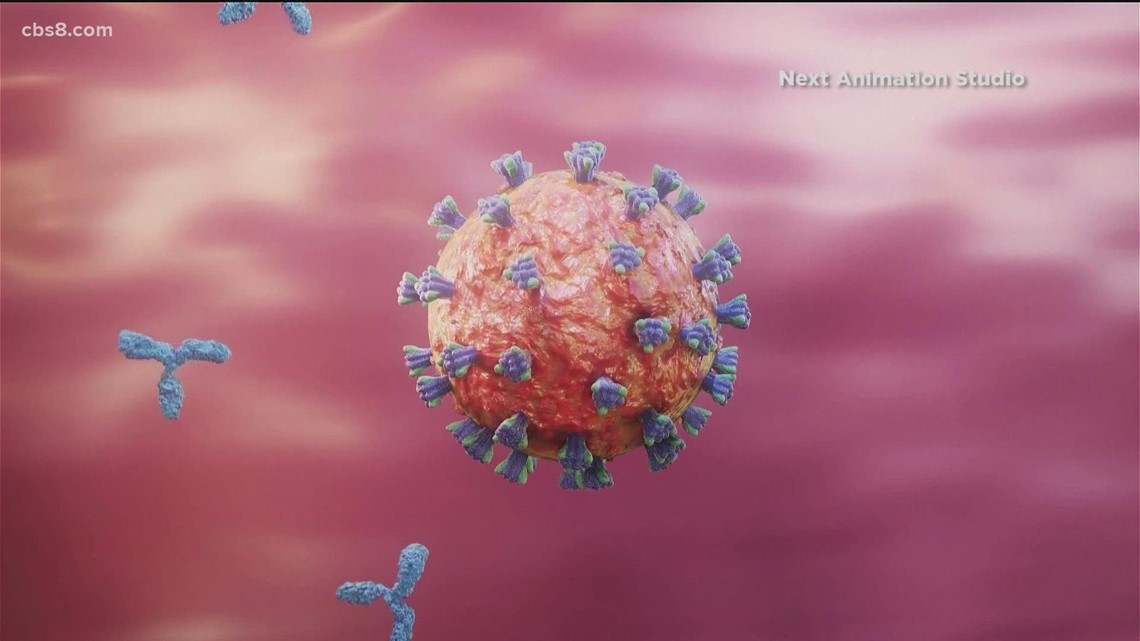 2nd San Diego omicron case detected, vaccinated man in 30s