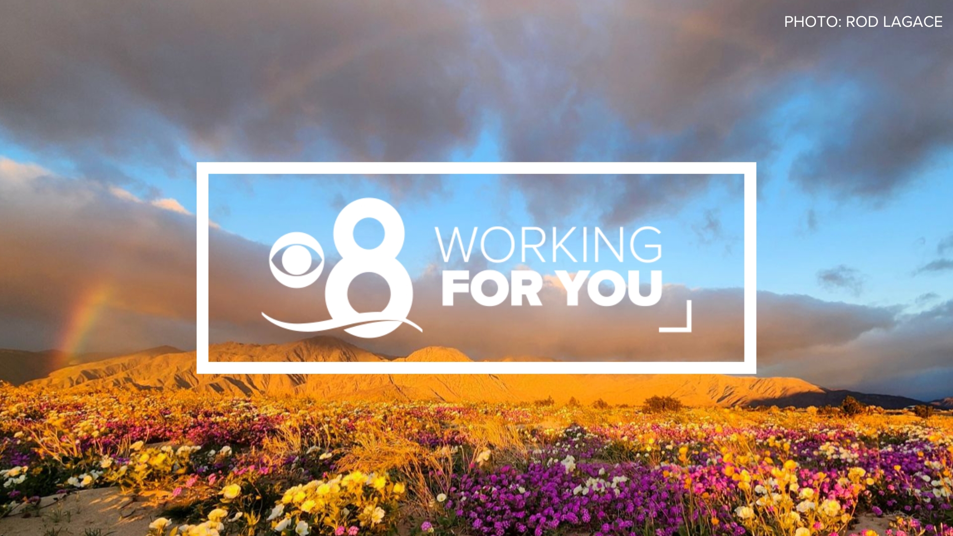 At CBS 8, we are always Working for You and our community. This is a station promise that we will go the extra mile to try and solve a problem our audience can’t.