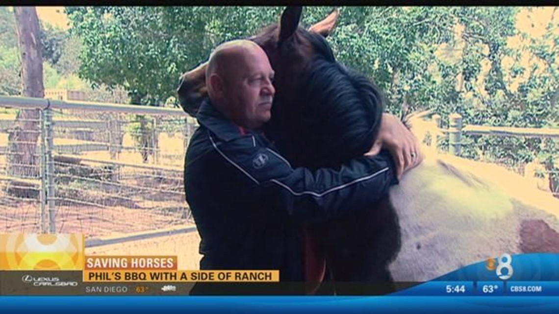 Phil's BBQ owner to open horse rescue ranch | cbs8.com