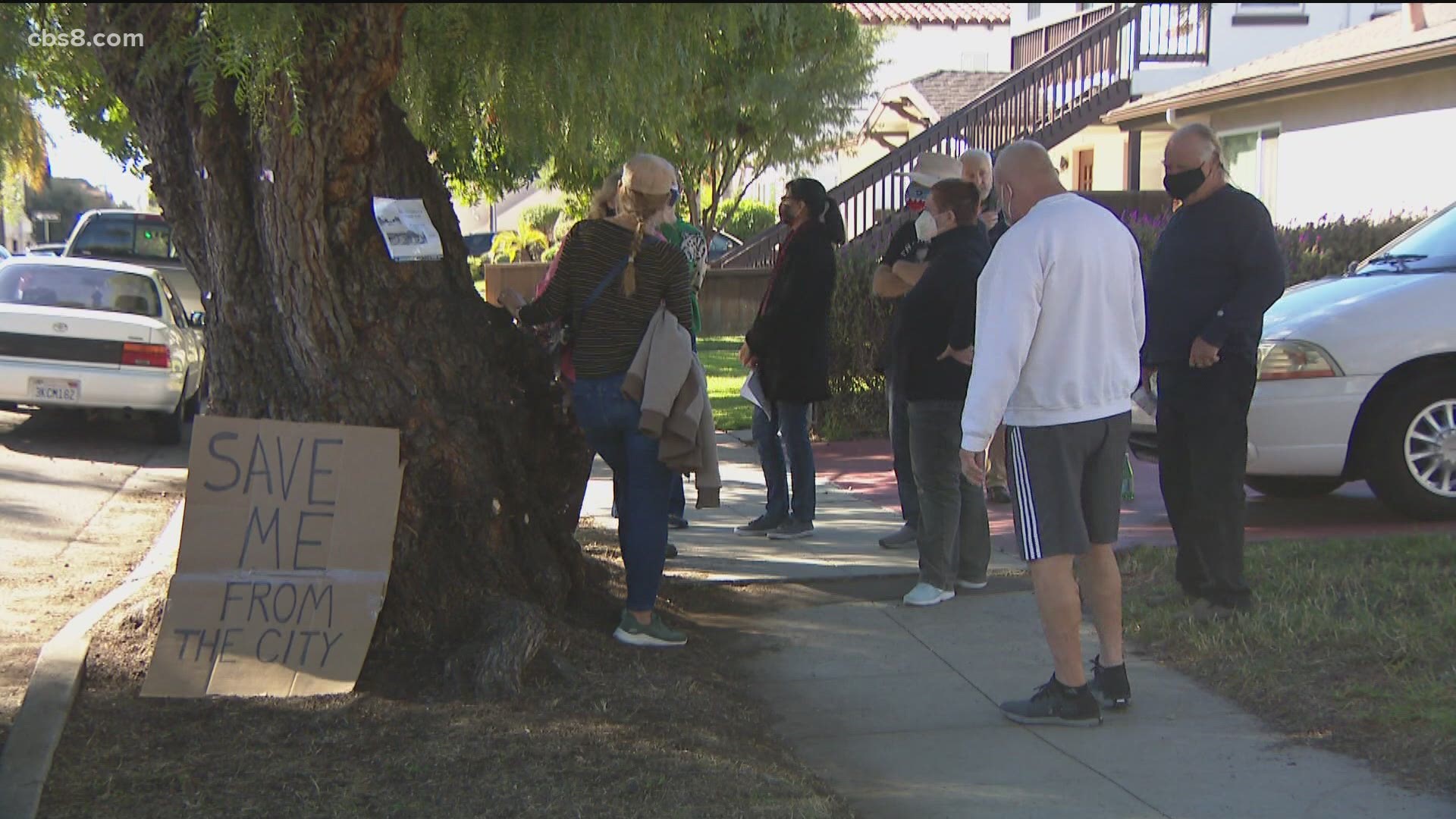 The City of San Diego says three trees have “Defects and Decay" and need to be removed. Residents say they plan to protest until the city takes a closer look.