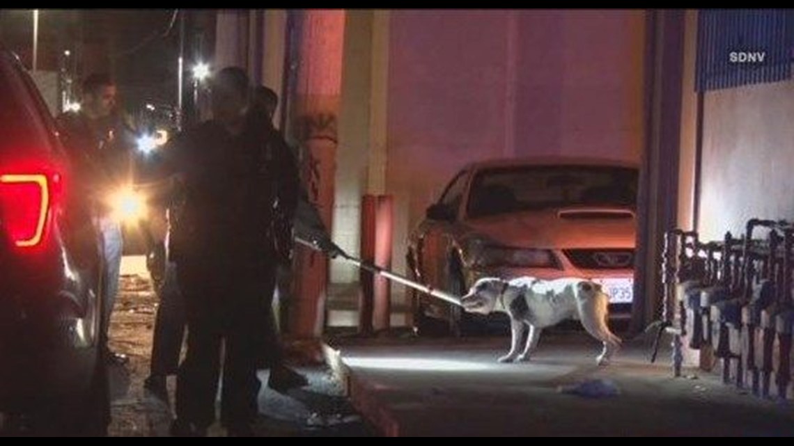 Man uses his pit bull to attack another man in North Park | cbs8.com