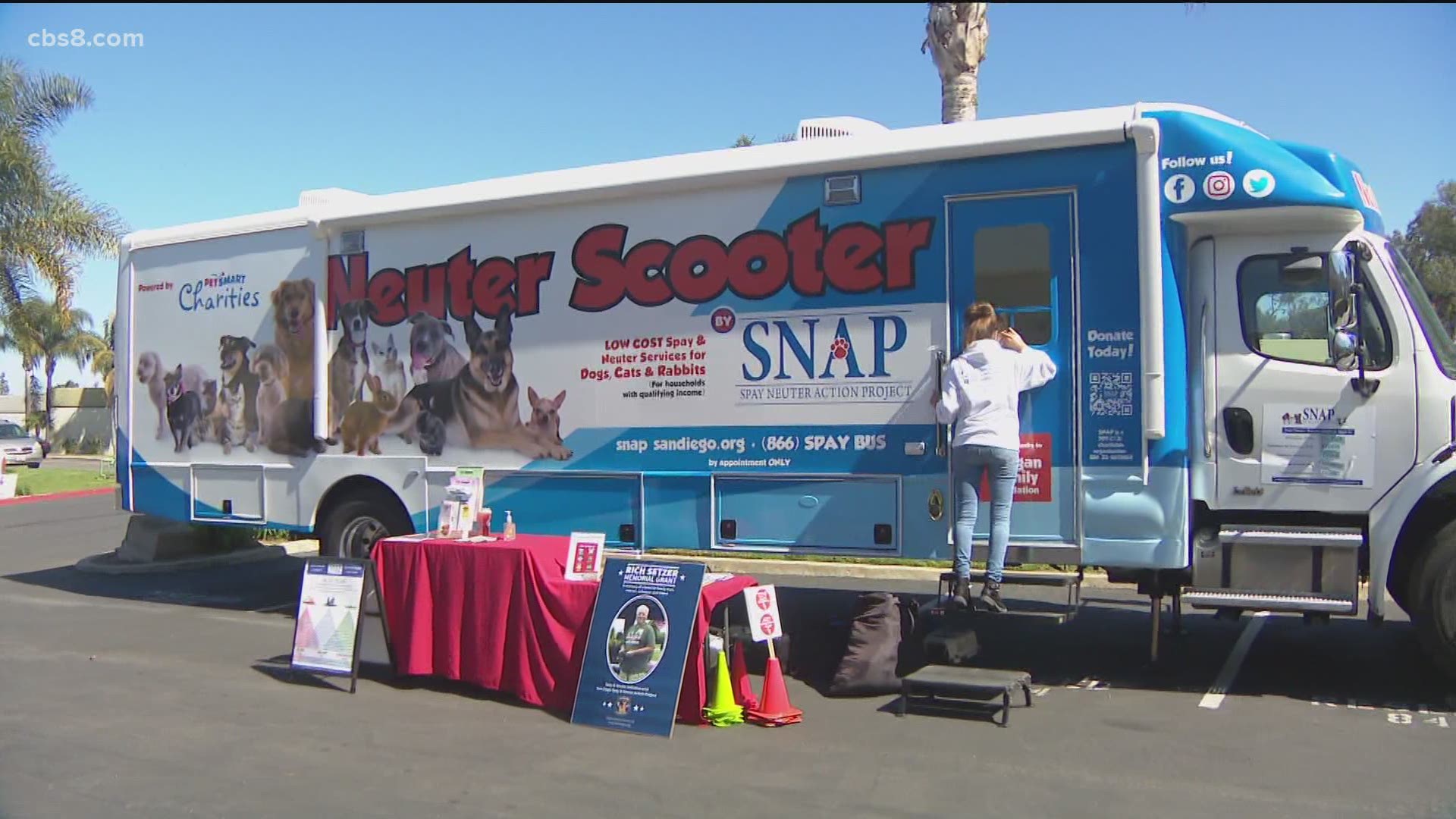 SNAP has “fixed” nearly 68,000 dogs, cats and rabbits aboard their mobile clinics called the Neuter Scooter. On Saturday the group had twenty-nine animals on board.