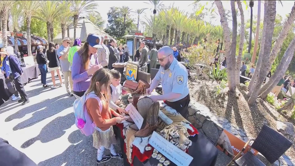 San Diego Zoo Safari Park holds 'Toss the Tusk' event to promote awareness of illegal ivory market