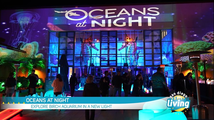 Oceans at Night Debuts at the Birch Aquarium