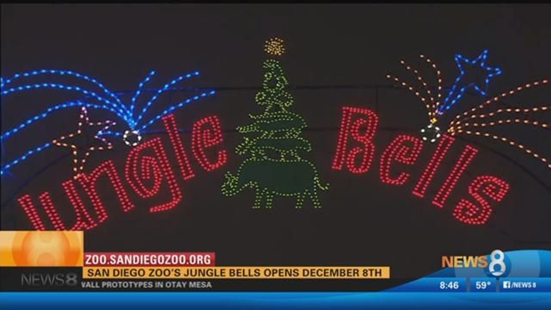 Jungle Bells at the San Diego Zoo