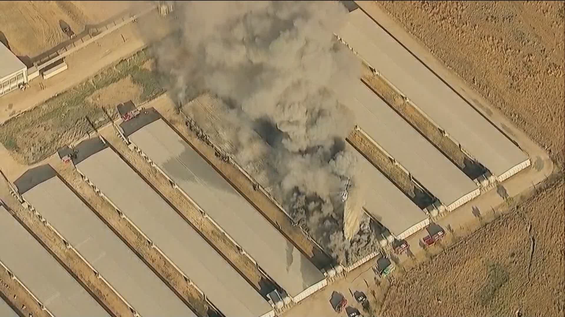 Cal Fire said the fire resulted in a loss of about two million dollars, including the building and the chickens inside.