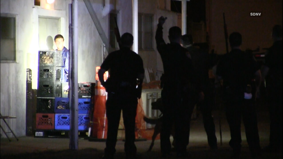 Police take down suspected vandal with beanbag gun