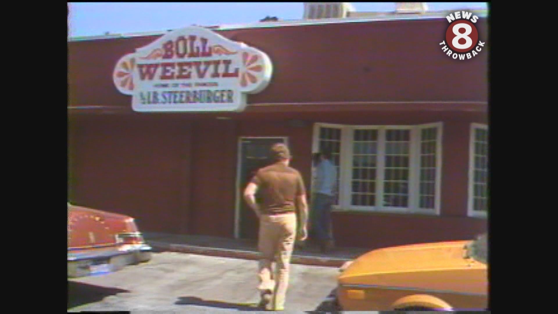 Boll Weevil Home of the Steerburger