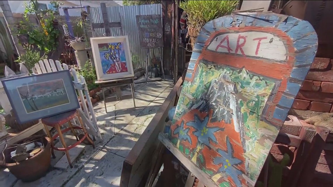 Ocean Beach art sale raises $12,000 for homeless cats - Vimarsana News