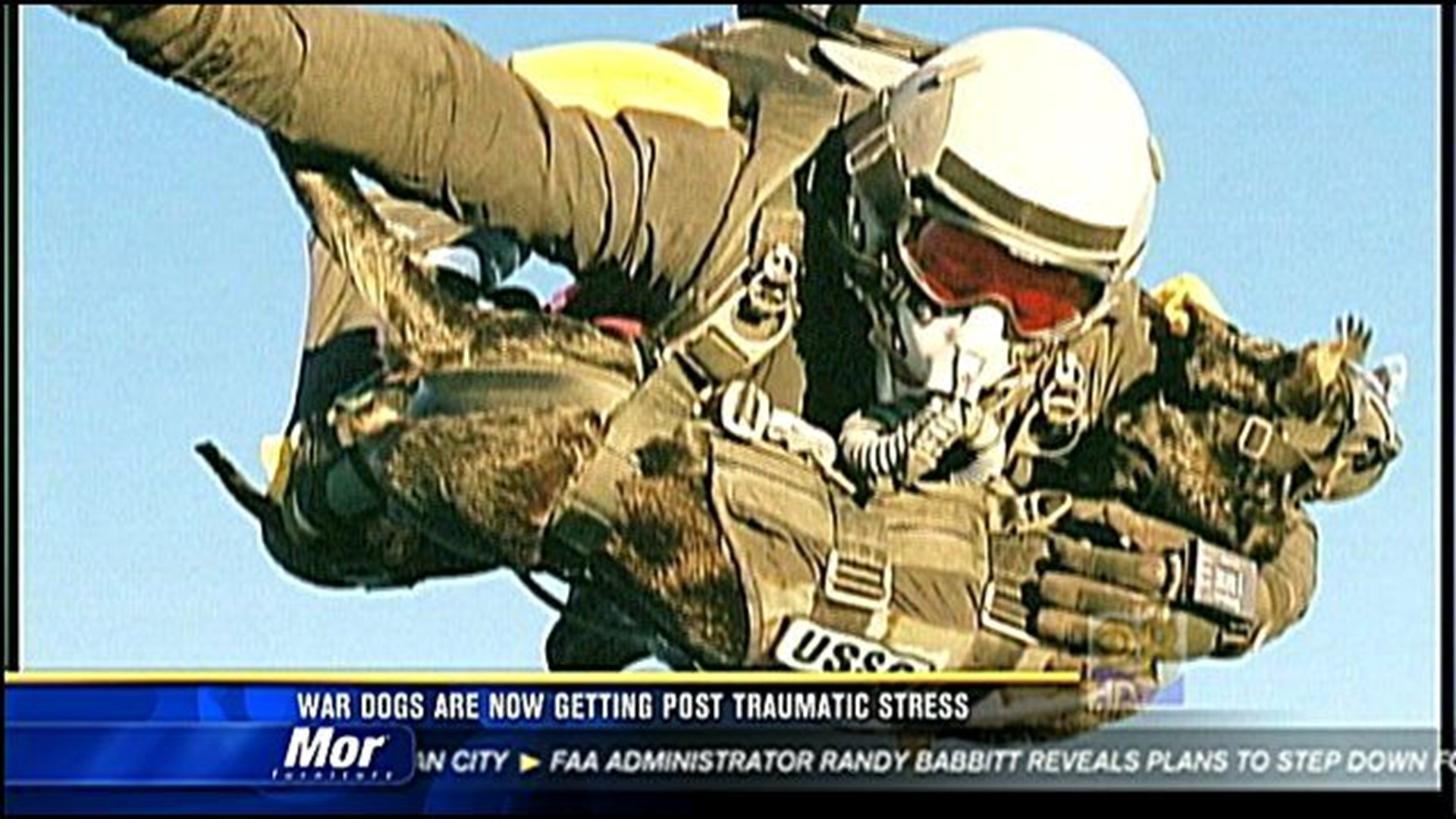 military working dogs skydiving