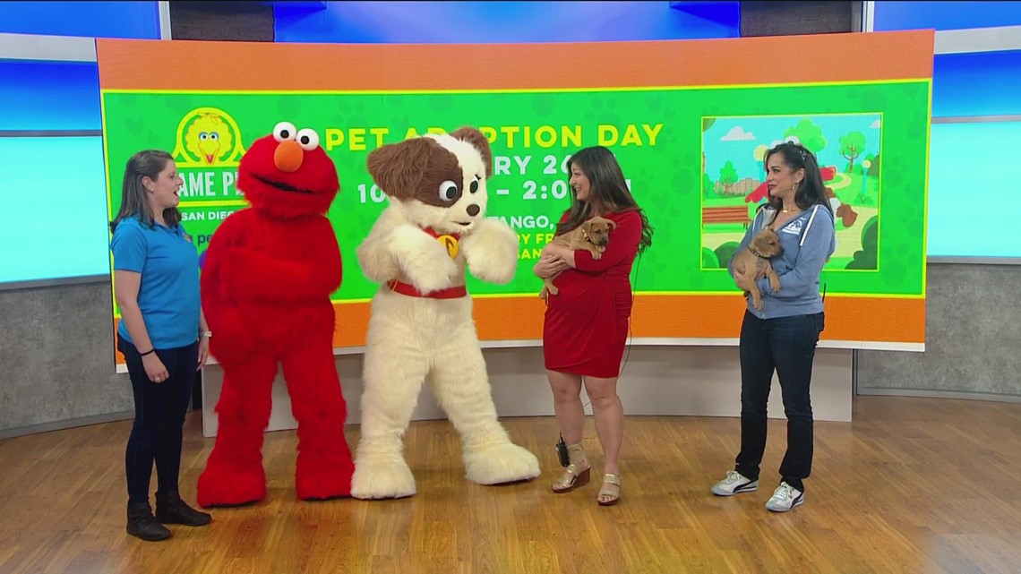 Sesame Place holding pet adoption event on Feb. 26