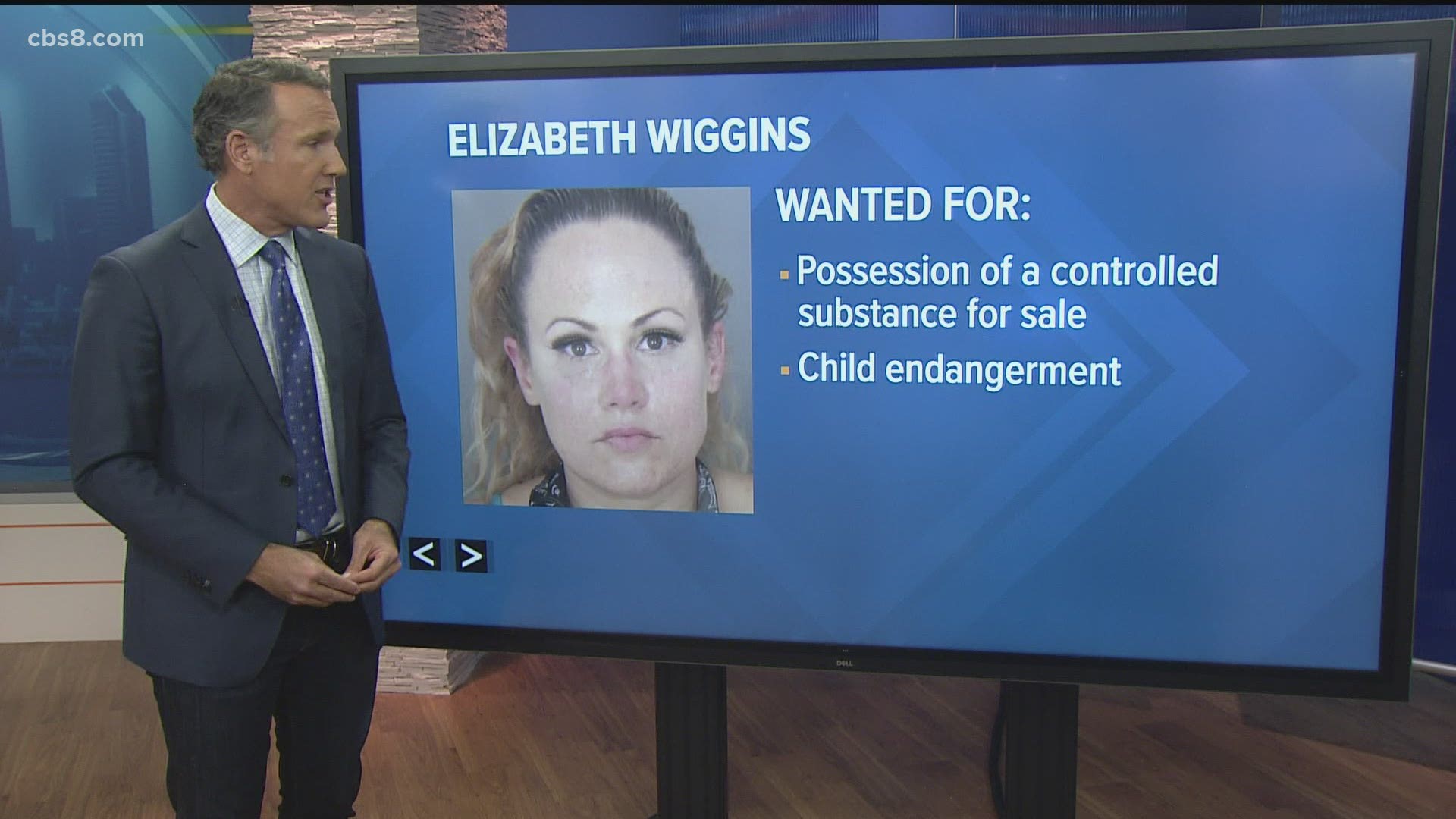 Manhunt: Elizabeth Wiggins