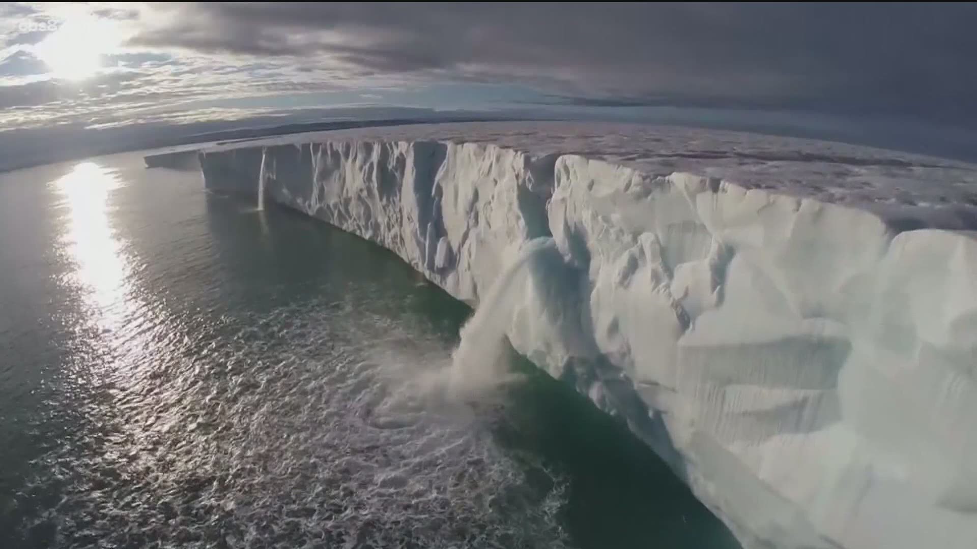 Glacière Iceberg 8L