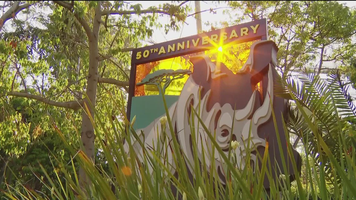 San Diego Zoo Safari Park celebrates 50th anniversary