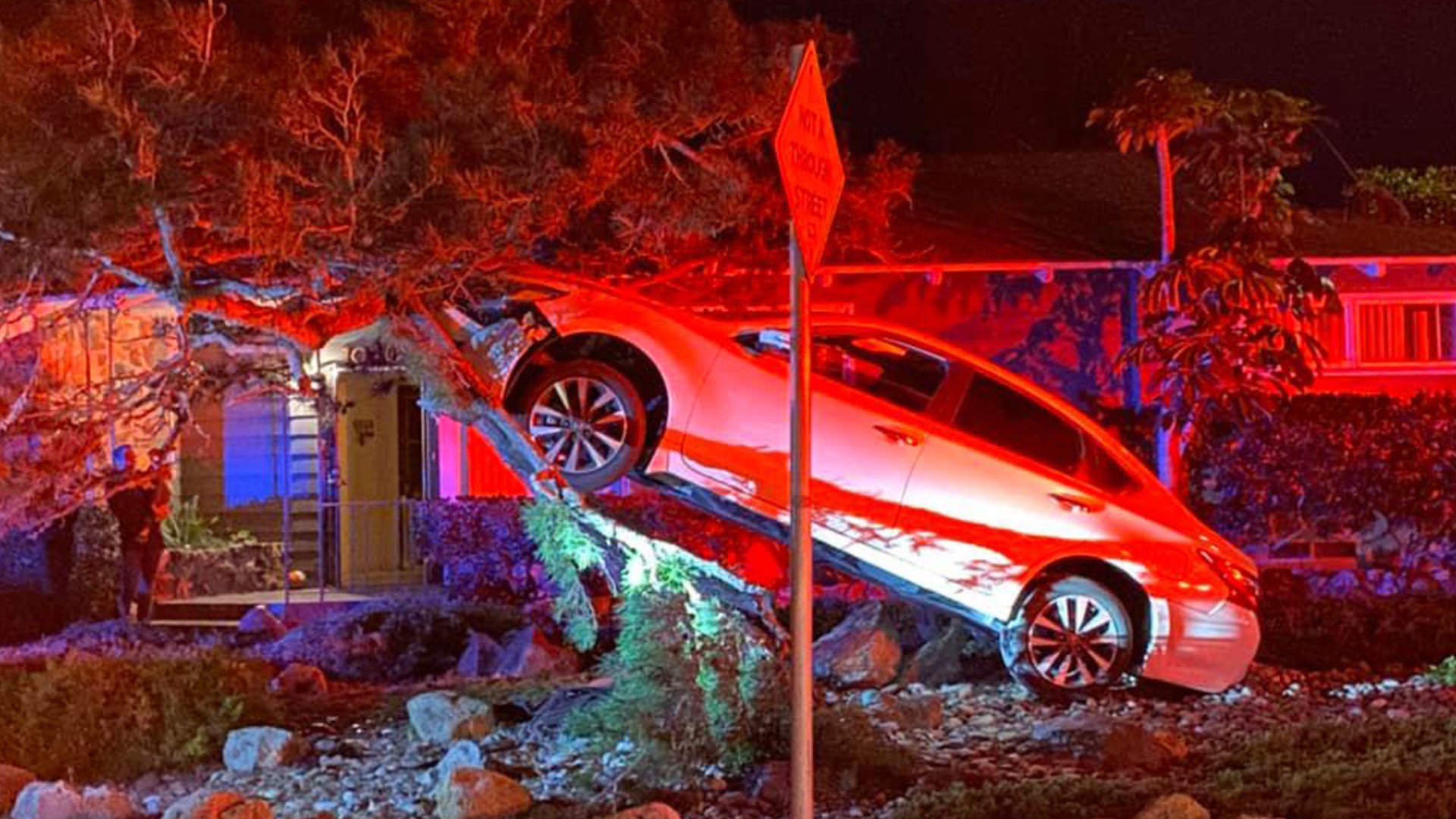 Man arrested after crashing car into tree in front of Pacific Beach ...