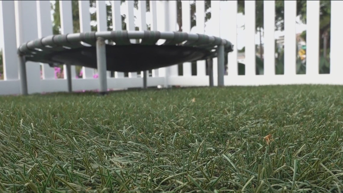 New California Law Could Allow Governments To Ban Turf 0960