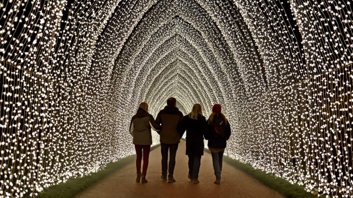 Lightscape returns for holiday season at San Diego Botanic Garden