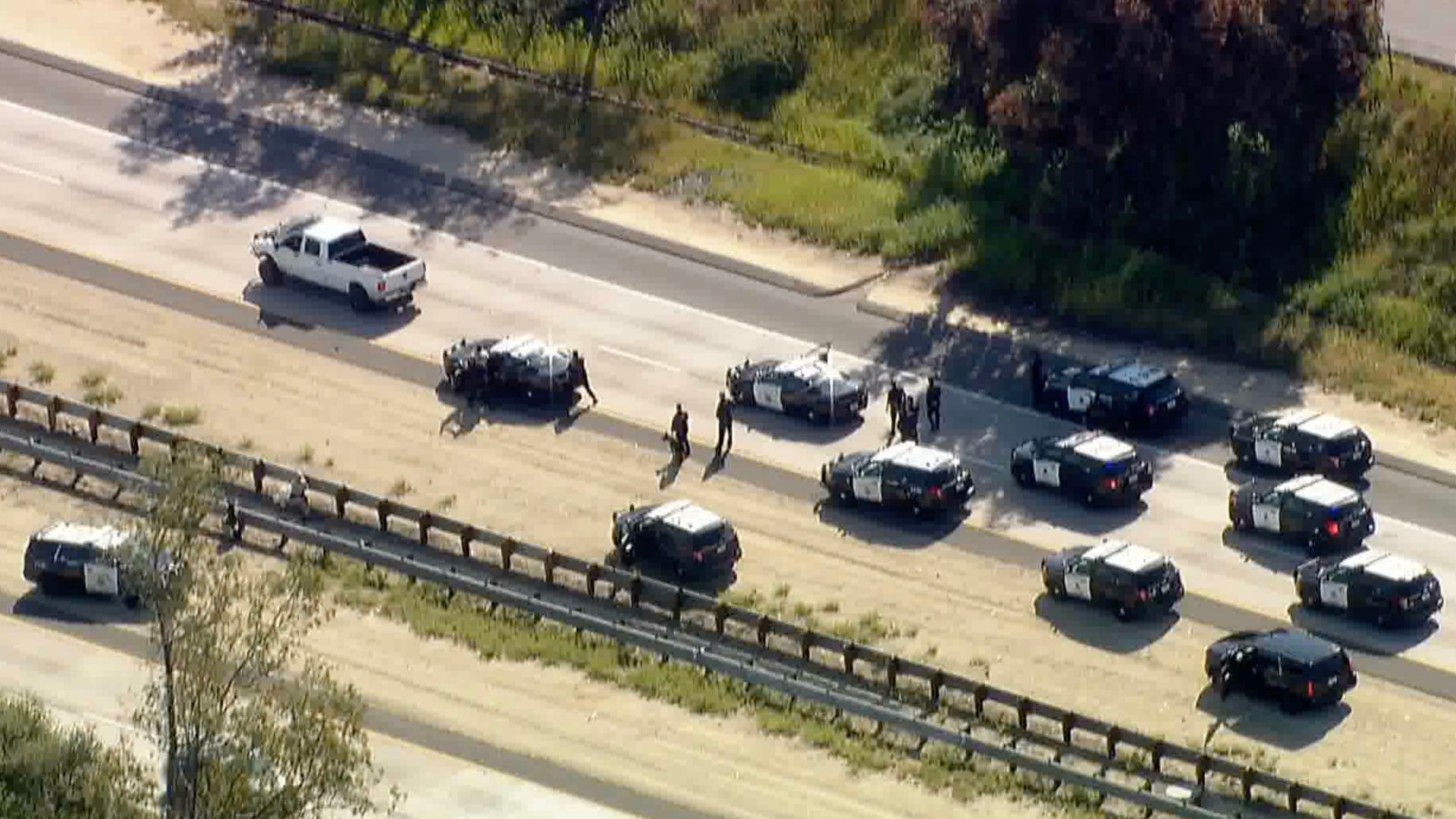 Video: Man taken down by police dog in East County chase | cbs8.com