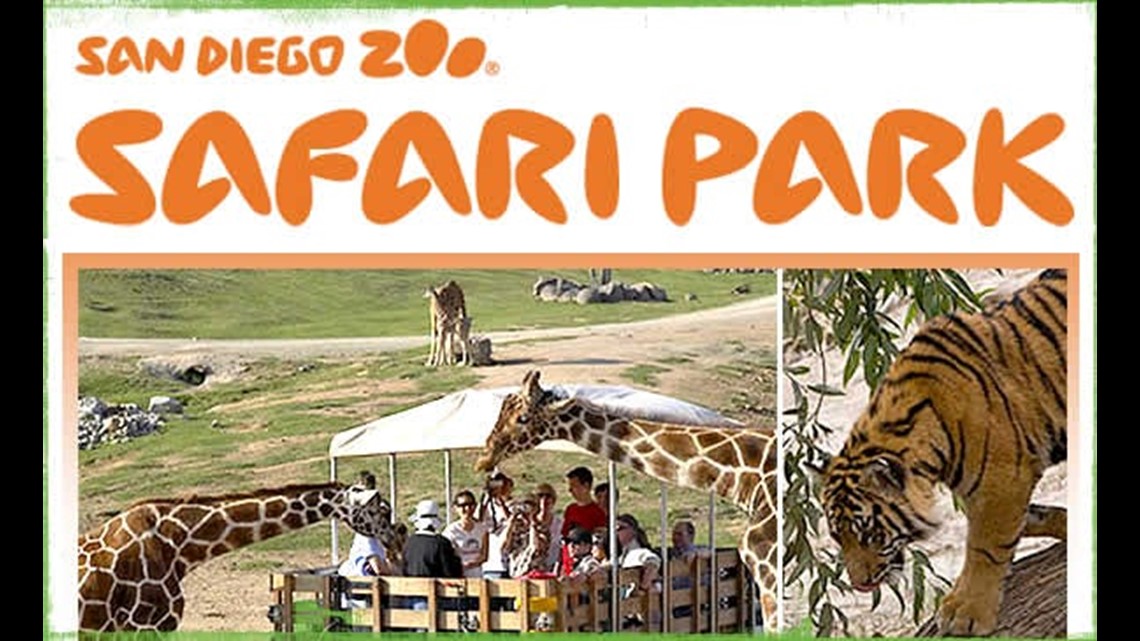 san diego zoo safari park free military