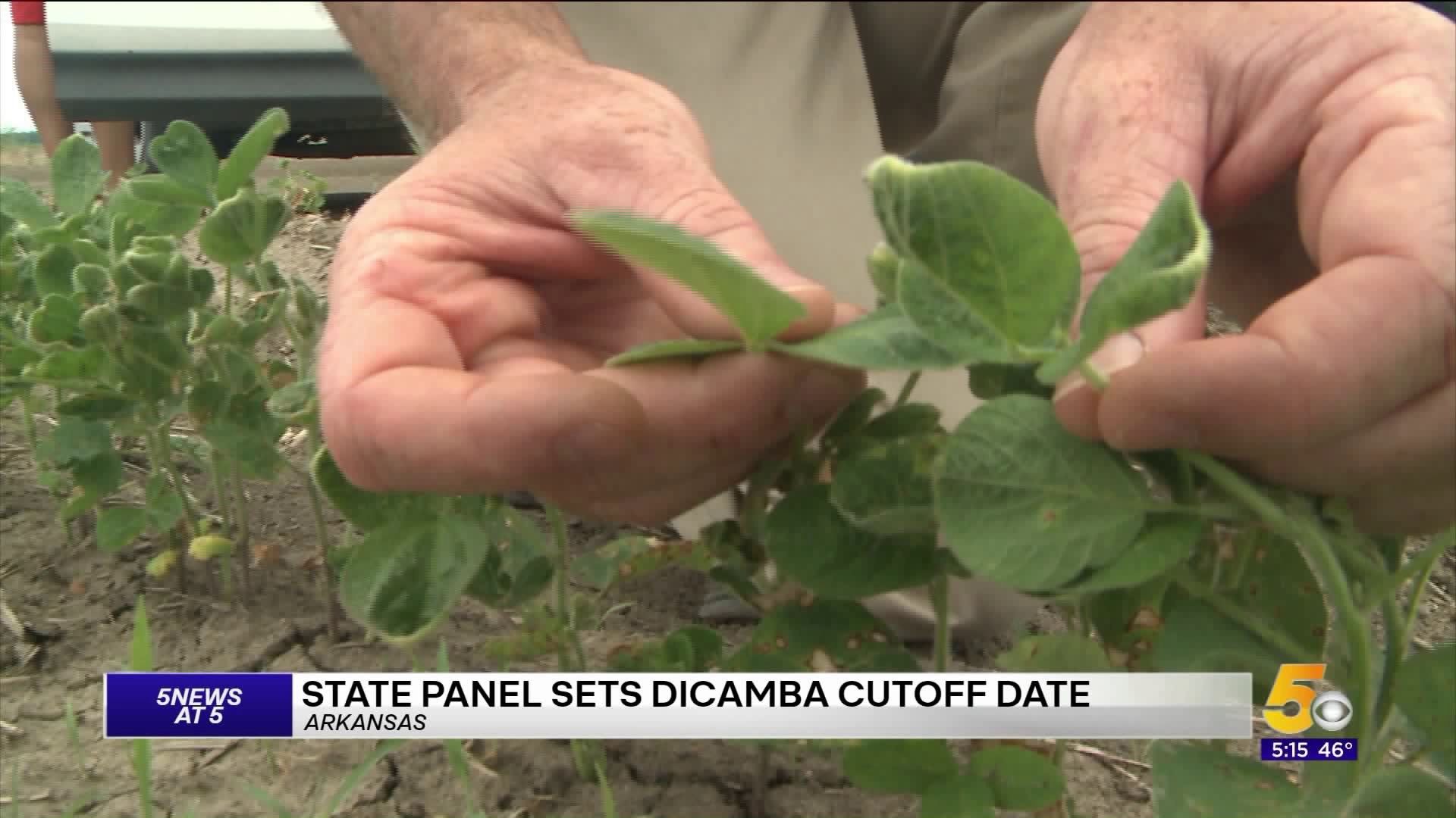 Arkansas Panel Adopts Date For Dicamba Spraying In 2020