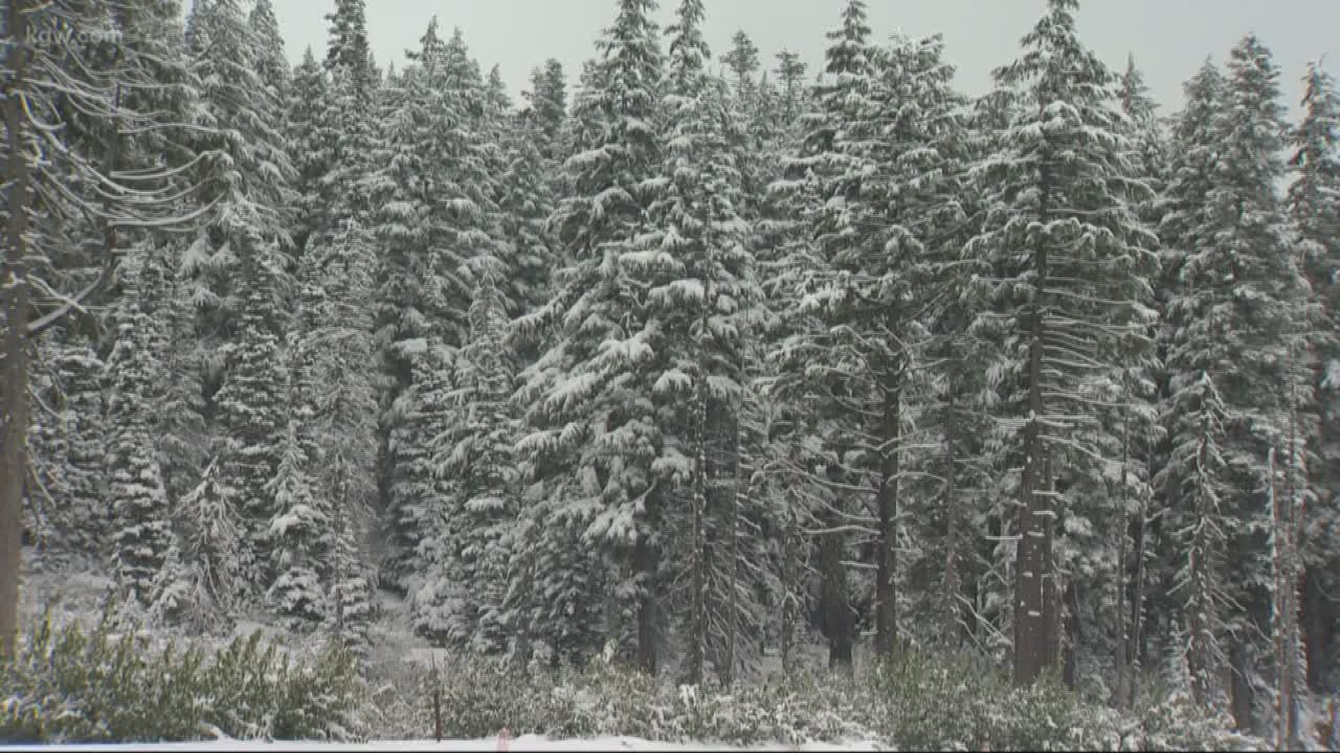 Revved up for the season': First snowfall of the season on Mount Hood